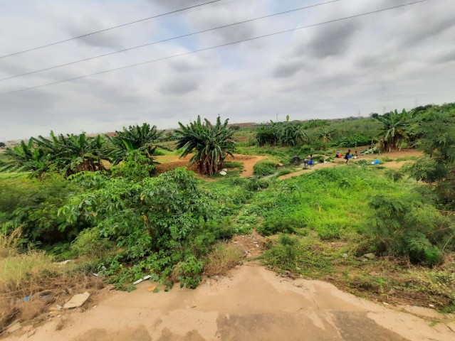 Venda Terreno de 2 hectares