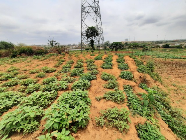 Venda Terreno de 2 hectares