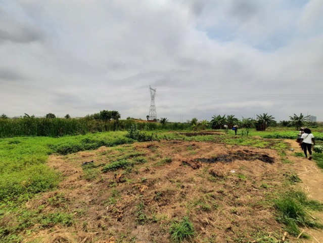 Venda Terreno de 2 hectares