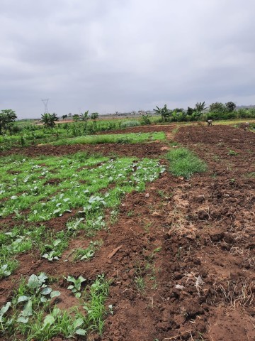 Venda Terreno de 2 hectares