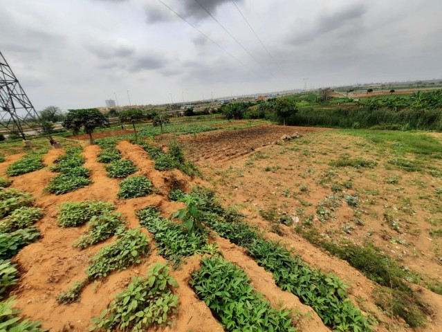 Venda Terreno de 2 hectares