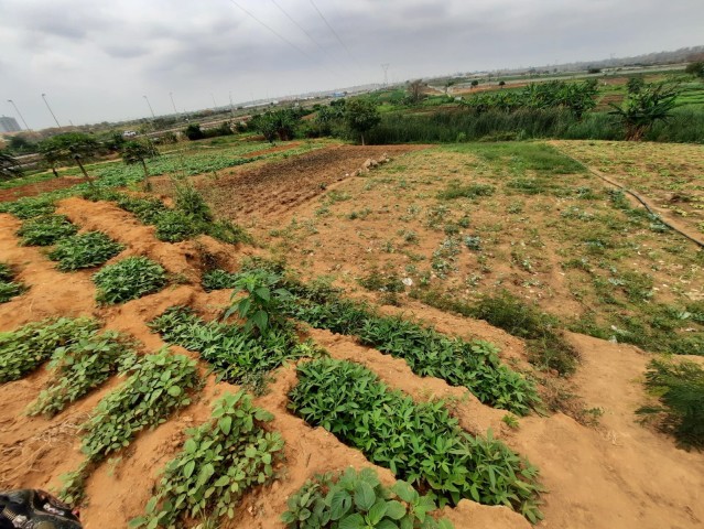 Venda Terreno de 2 hectares