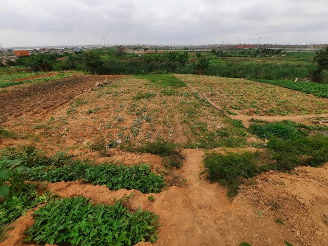 Venda Terreno de 2 hectares