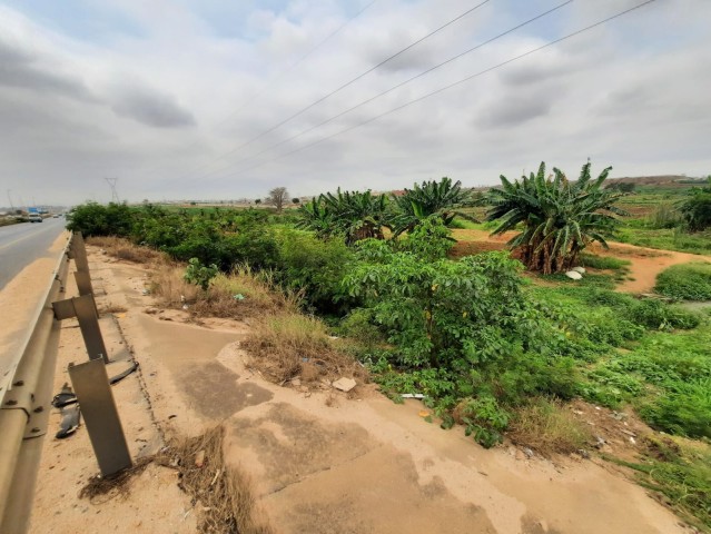 Venda Terreno de 2 hectares