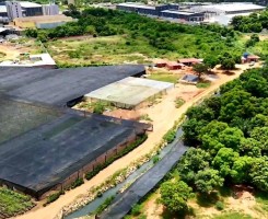 A venda VENDE-SE TERRENO DE 15 HECTARES VIA EXPRESSA