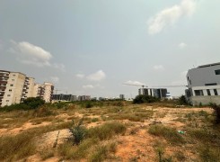 Anúncio TERRENO DE 2 HECTARES NO TALATONA