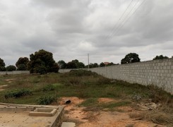 Anúncio Terreno a venda, 2 hectares