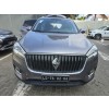 Venda BORGWARD BX7