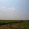 Venda Terreno de 150 hectares em Calumbo bl3