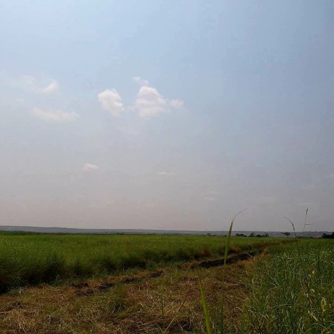 Venda Terreno de 150 hectares em Calumbo bl3