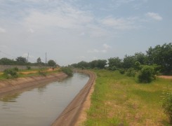 Anúncio VENDE-SE TERRENO DE 57 HECTARES FRENTE AO CANAL DO KIKUXI