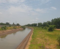 A venda VENDE-SE TERRENO DE 57 HECTARES FRENTE AO CANAL DO KIKUXI