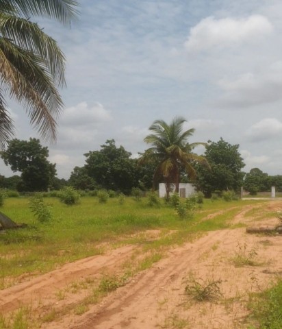 Venda VENDE-SE TERRENO DE 57 HECTARES FRENTE AO CANAL DO KIKUXI