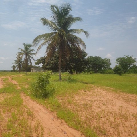 Venda VENDE-SE TERRENO DE 57 HECTARES FRENTE AO CANAL DO KIKUXI