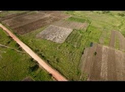 Comprar Terreno de 7 Hectares