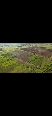 Venda Terreno de 7 Hectares