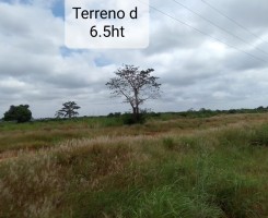 A venda Venda de terreno no Bom Jesus