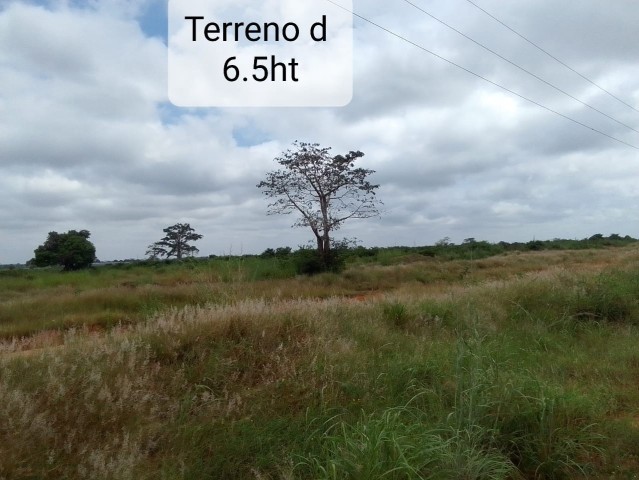 Venda Venda de terreno no Bom Jesus