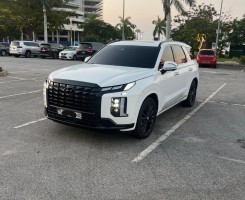 A venda HYUNDAI PALISADE