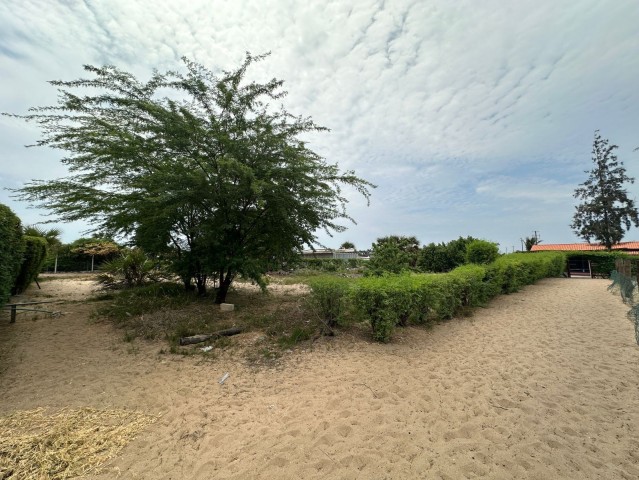 Venda Terreno de 40/25