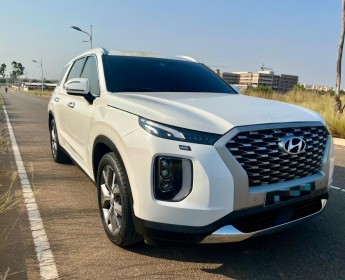 Comprar HYUNDAI PALISADE | V6 - 2.9