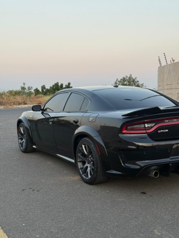 Venda Dodge Challenger Sport - 2023
