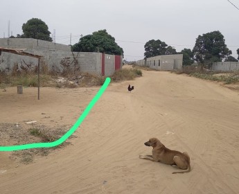 Comprar Terreno com dimensão de 10/20
