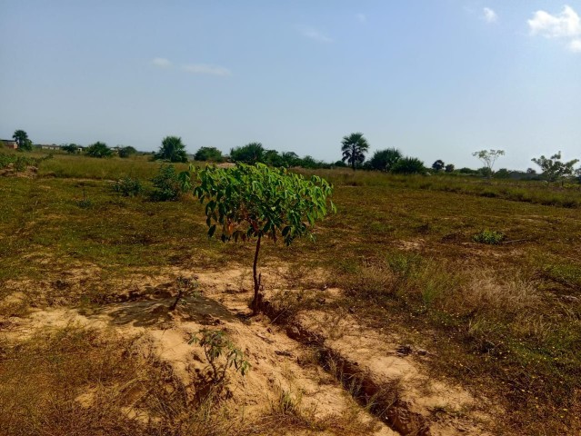 Venda TERRENO À VENDA NO RAMIRO MUNICÍPIO DE BELAS