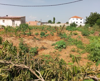 Comprar TERRENO 20/30 ZONA VERDE RUA 24