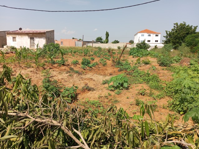 Venda TERRENO 20/30 ZONA VERDE RUA 24