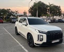 A venda HYUNDAI PALISADE RECÉM CHEGADO LIMPO START