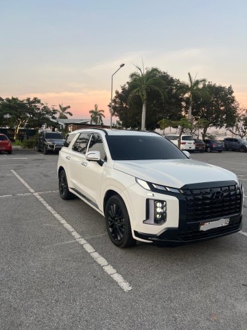 Venda HYUNDAI PALISADE RECÉM CHEGADO LIMPO START