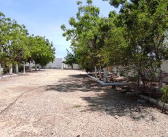 Comprar Fazenda 2 Hectares à Venda Zona Segura Investimento Rural