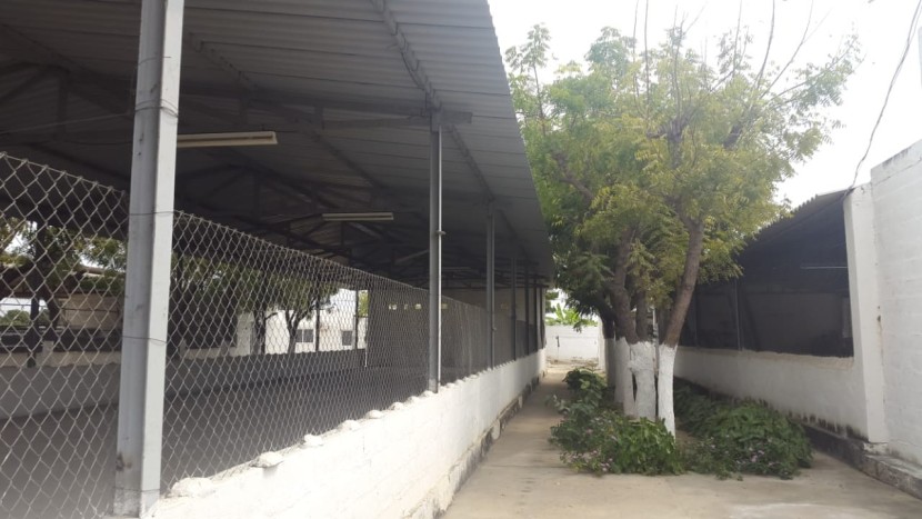 Venda Fazenda 2 Hectares à Venda Zona Segura Investimento Rural