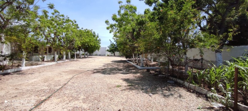 Venda Fazenda 2 Hectares à Venda Zona Segura Investimento Rural