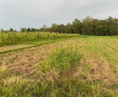 A venda Terreno em Kilamba