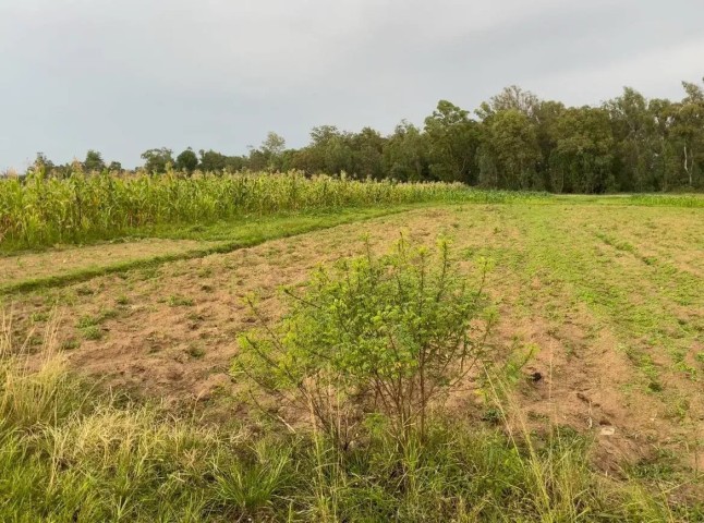 Venda Terreno em Kilamba
