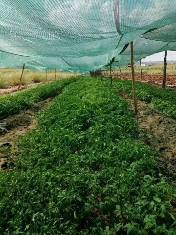 Venda Vende-se