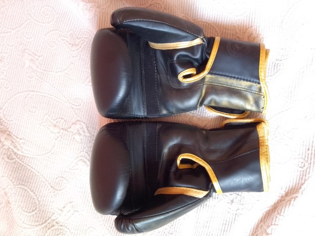 Venda Luvas de Kickboxing e Boxing Venum 16oz