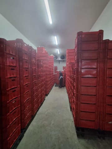 Venda Fábrica de Carne