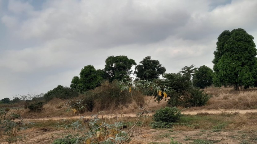 Venda Terreno de 1 hectare noKM36arredores do novo aeroporto internacional de Angola