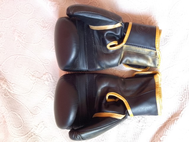 Venda Luvas de Kickboxing e Boxing Venum 16oz
