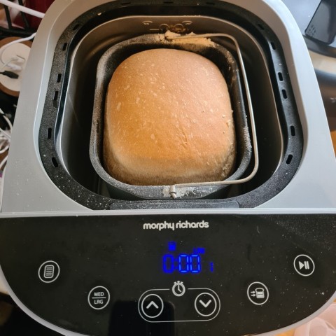 Venda Máquina de Fazer Pão e Bolo Morphy Richards Home Bake