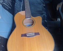 A venda Seagull Godin