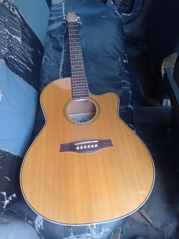 Venda Seagull Godin