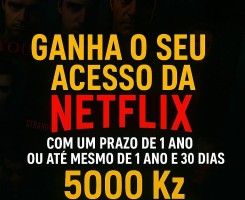 A venda Netflix durante um ano