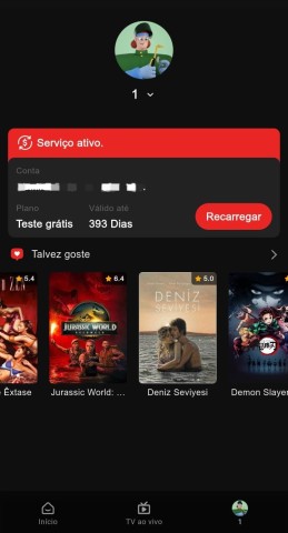 Venda Netflix durante um ano