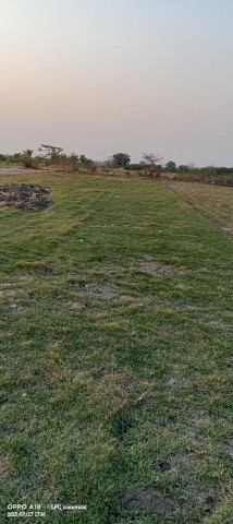 Venda Relva Natural