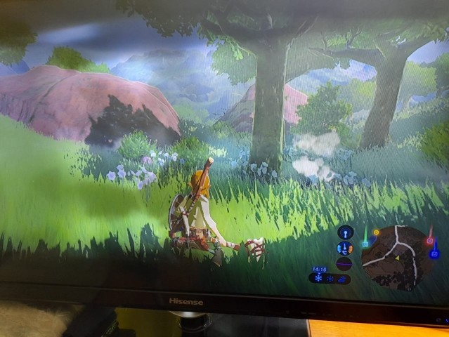 Venda NINTENDO WII U + 13 JOGOS