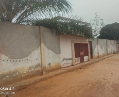 Comprar Vivenda T7 + Anexos + Casa Independente T3 à venda